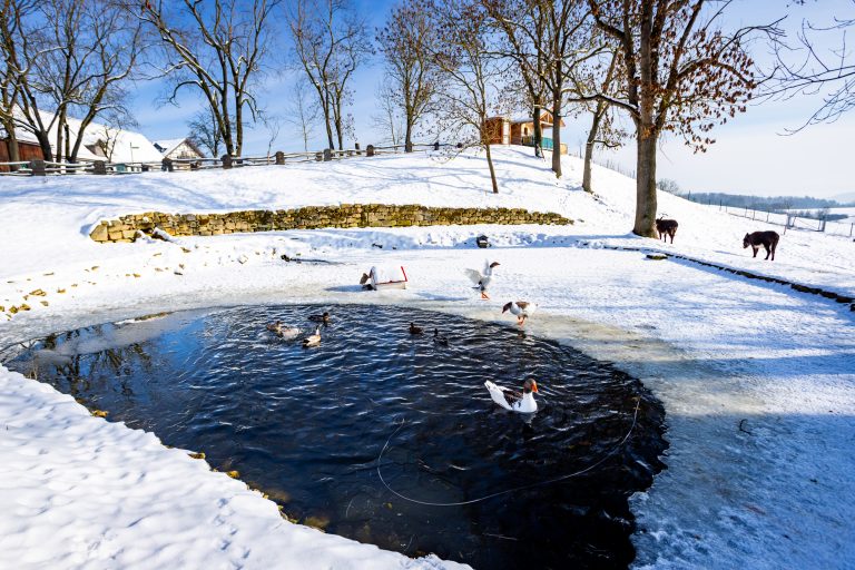 Winteransicht Ferienhof Domäne Groschwitz